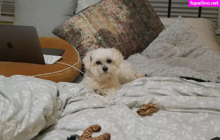 Shanma OnlyFans Thumbnail #wo5Yo8bMch