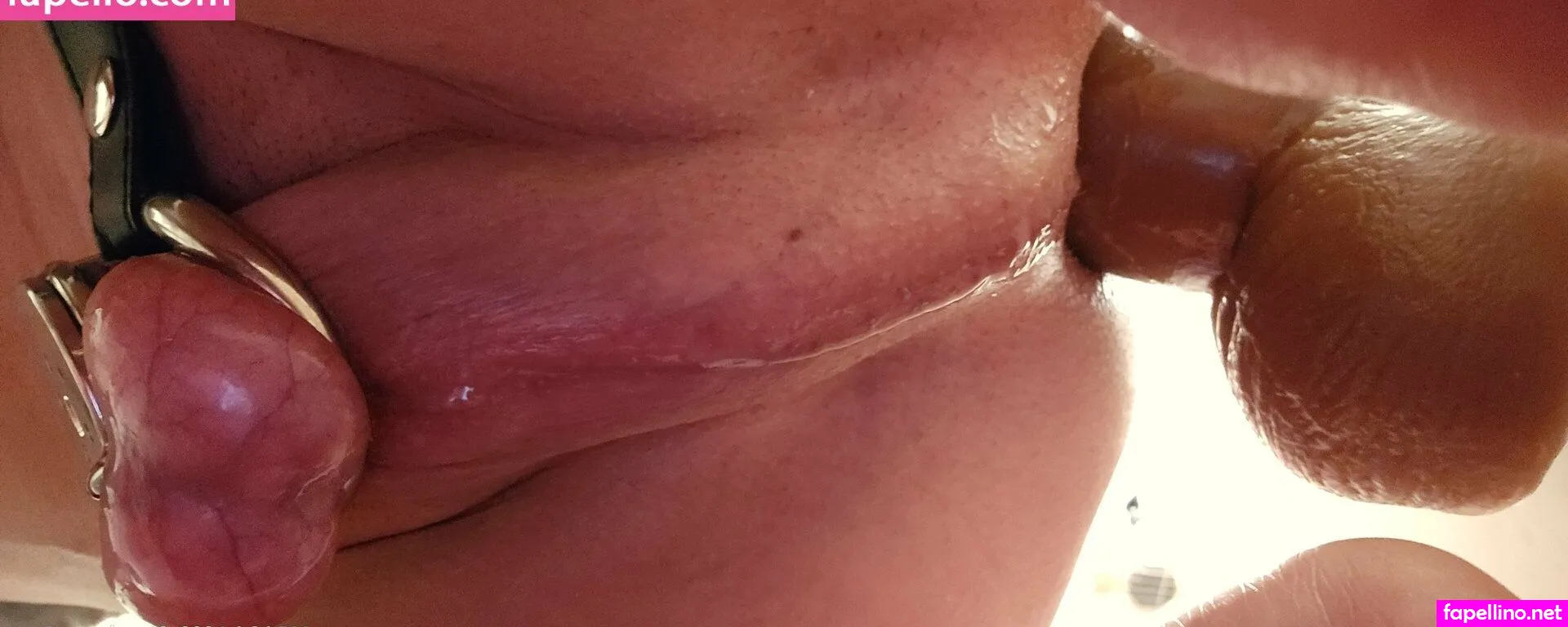 shannonrogue666 Nude Leaked OnlyFans Photo #N2FAoCDshp