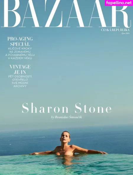 Sharon Stone OnlyFans Thumbnail #H4xlqSdNZZ