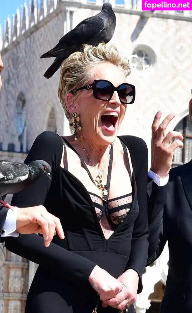 160762733, search, sharonstone Nude Leaked OnlyFans Photo #Oycb2sd2CA