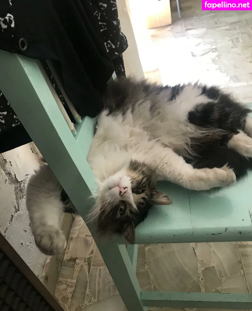 shashinyc, shashiuwu Nude Leaked OnlyFans Photo #33pOLVWlG7