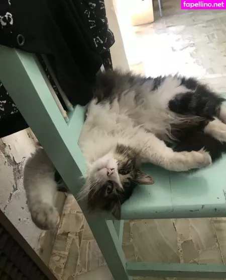 Shashi OnlyFans Thumbnail #G9Zxvcn2Q8