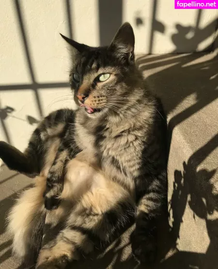 Shashi OnlyFans Thumbnail #gUC4EvPcLz