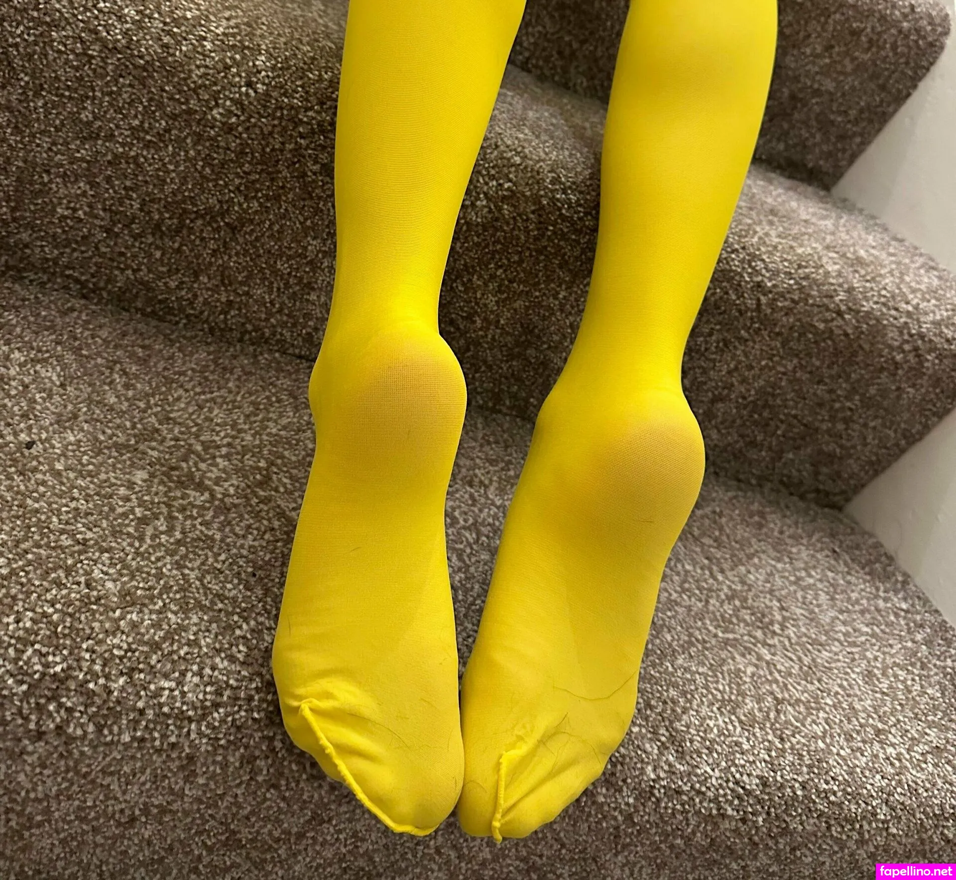shauna2311xfeet Nude Leaked OnlyFans Photo #bmbm4QYP62