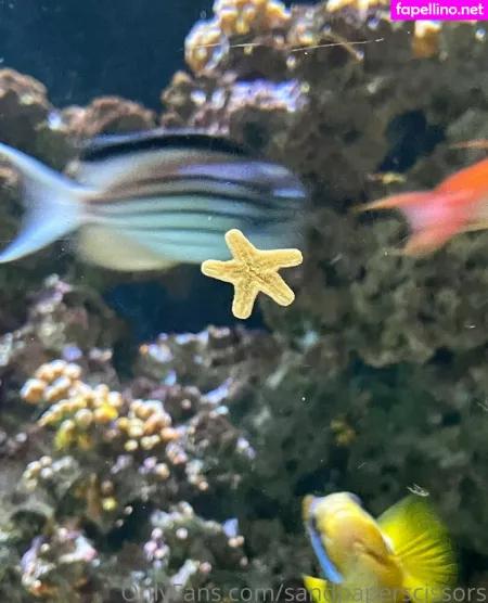 Shawnie OnlyFans Thumbnail #2iBsMYctgZ