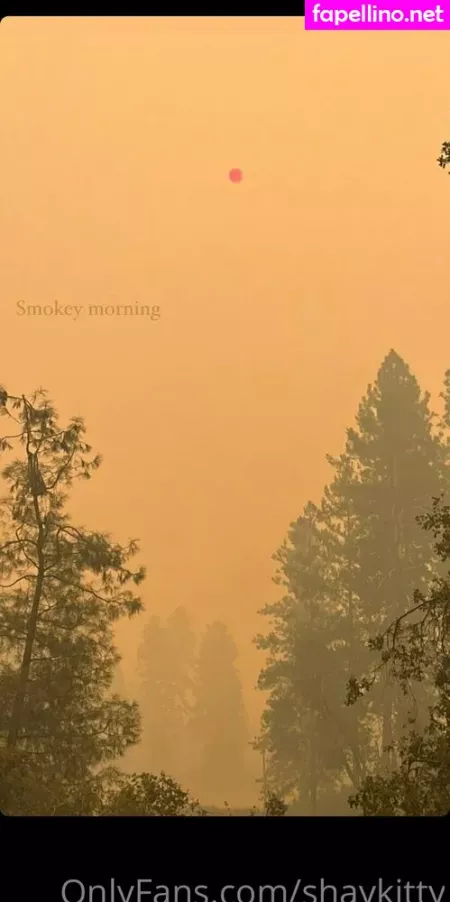 Shaykitty OnlyFans Thumbnail #msfEpd8eX4