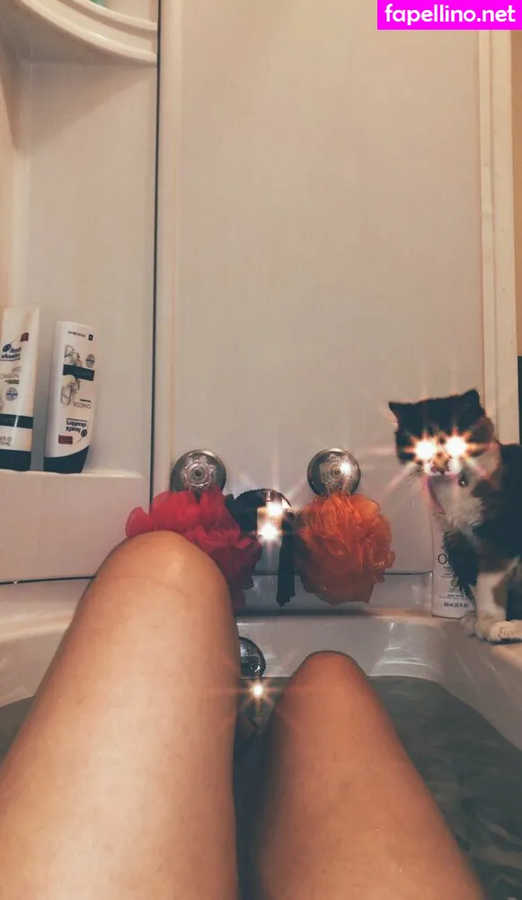 shayleahhxoxo, shayleahlanham Nude Leaked OnlyFans Photo #KycPmuM4f1