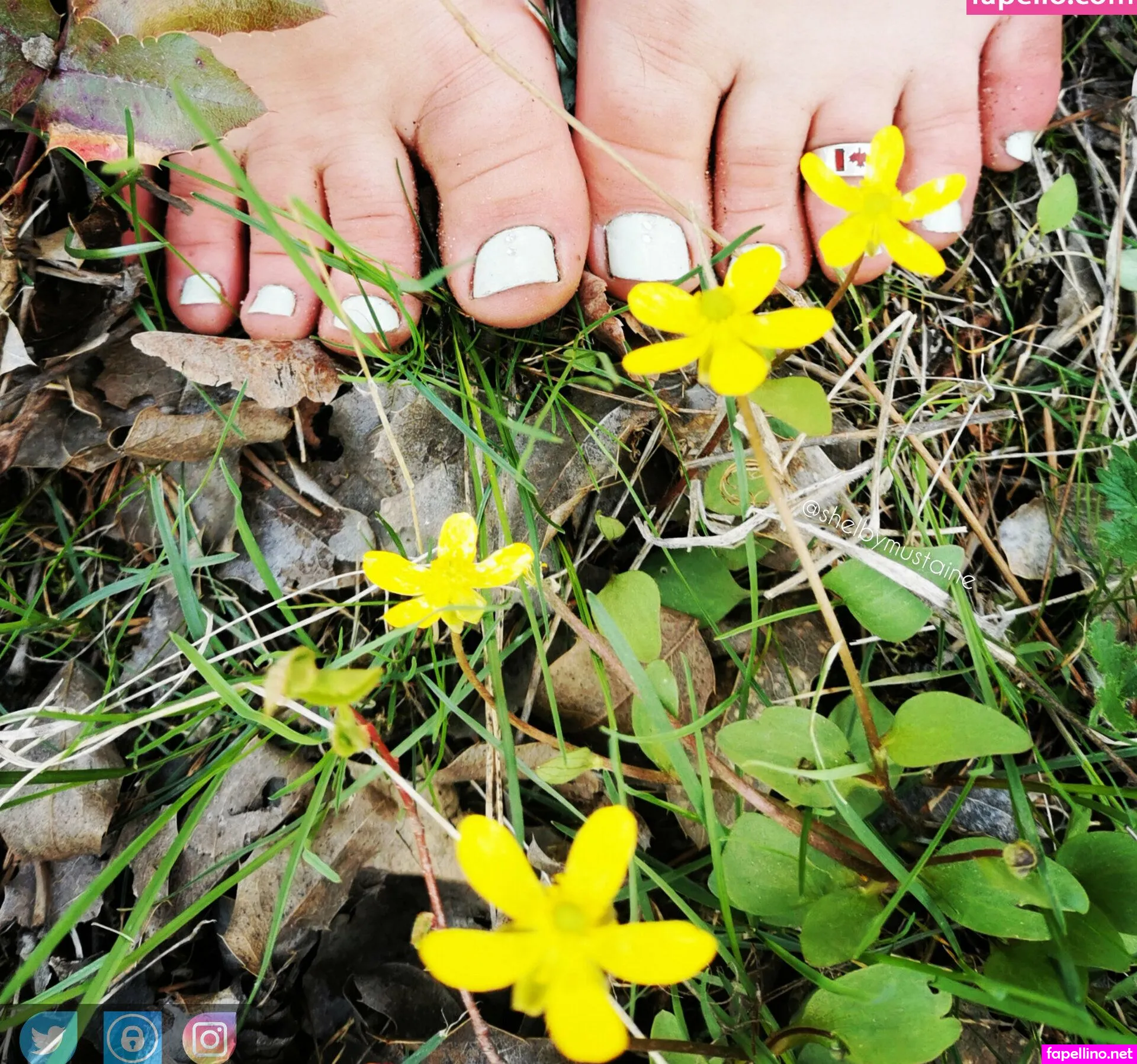 shelbymustaine Nude Leaked OnlyFans Photo #UyruHQP3vx