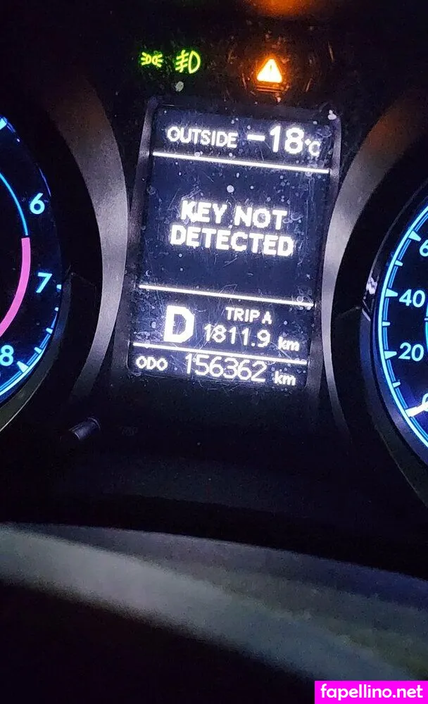 shemale_oceana Nude Leaked OnlyFans Photo #2HmfOTADYS