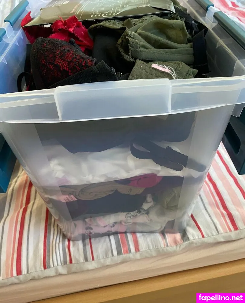 shinybunnyadia Nude Leaked OnlyFans Photo #0Hc8W2s1k1