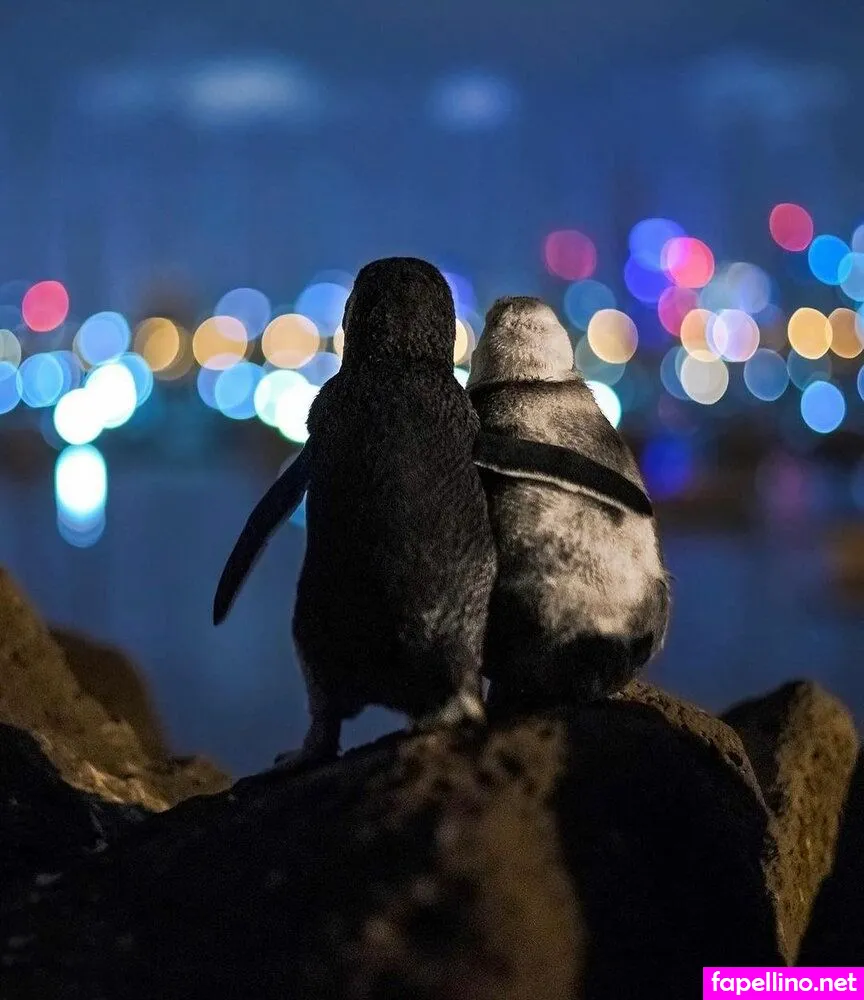 yogishruti Nude Leaked OnlyFans Photo #WWktb02J3M