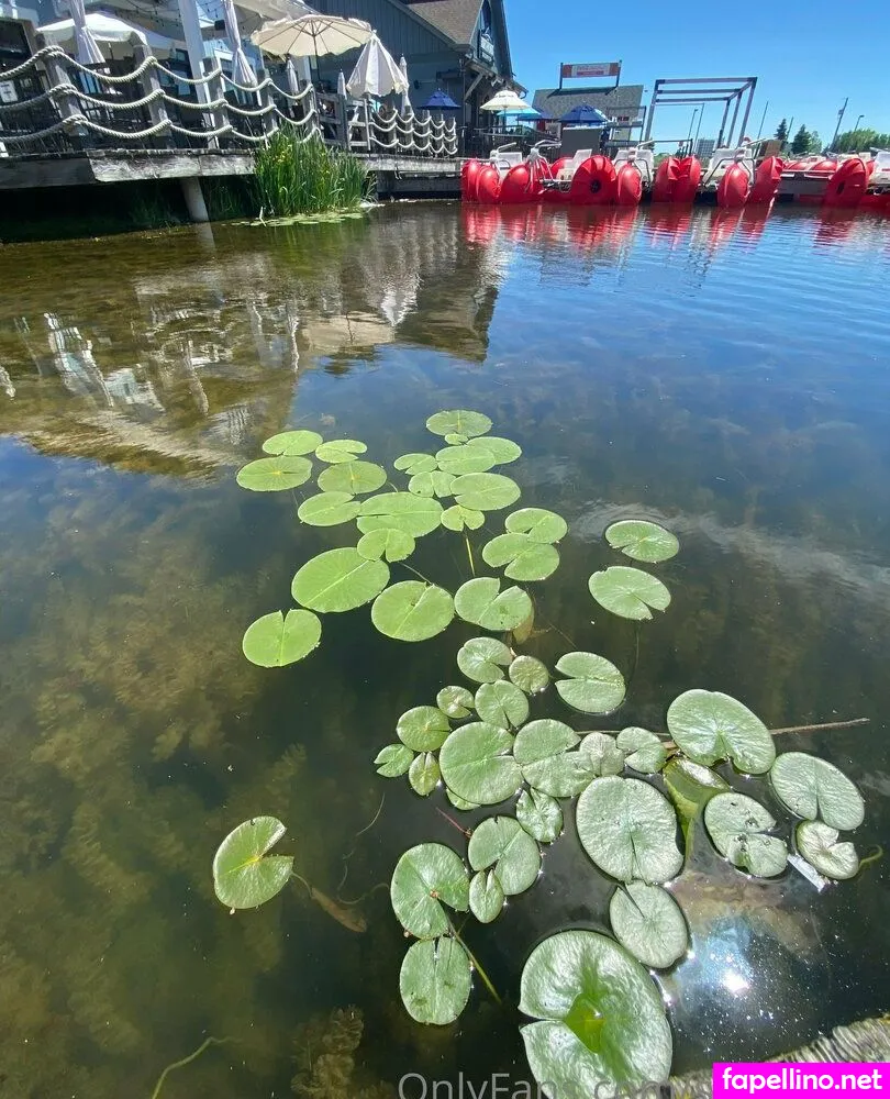 shxnannx, shxnnxnxx Nude Leaked OnlyFans Photo #BCVwHltl50