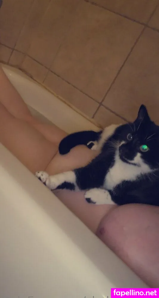 shyhighchey, shyhiigh Nude Leaked OnlyFans Photo #fsnCG5xApI