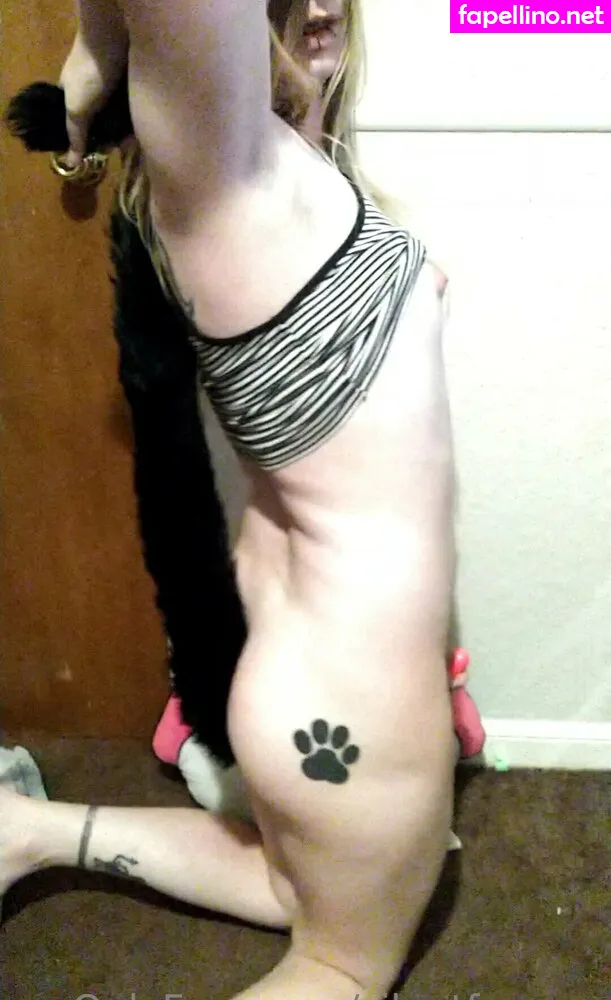 Fox, silentfox.studio, silentfoxowo Nude Leaked OnlyFans Photo #V1xCfEZETl