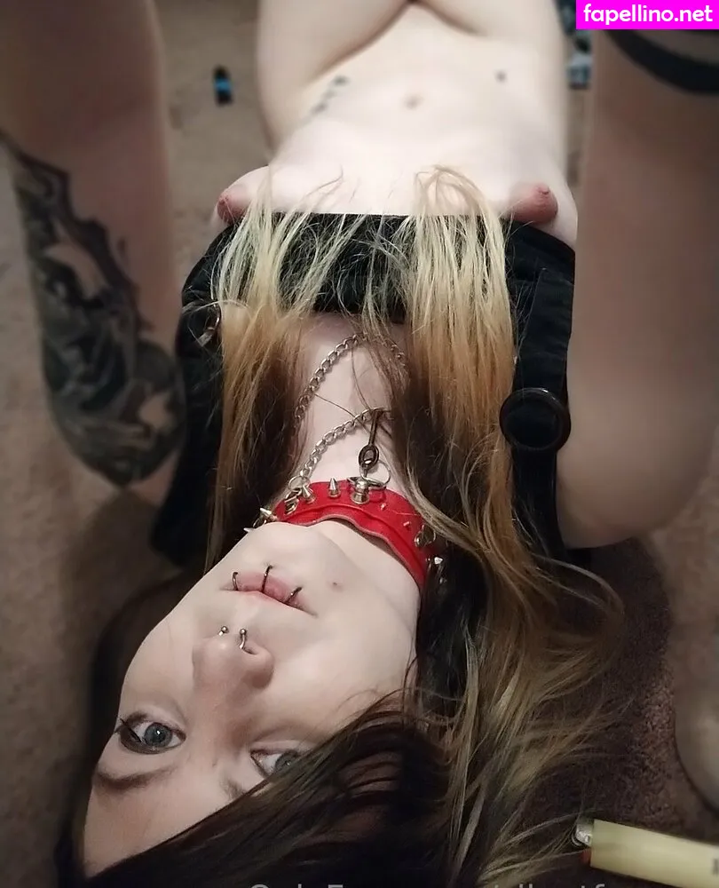 Fox, silentfox.studio, silentfoxowo Nude Leaked OnlyFans Photo #cKWgZw55G3