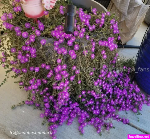 Simona Fans OnlyFans Thumbnail #KxscO0q2m2