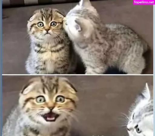 Sinnamon Love OnlyFans Thumbnail #9LsDuspQqg