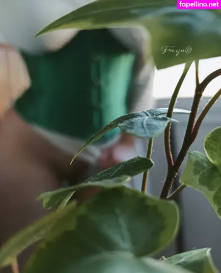 Siren Goddess OnlyFans Thumbnail #PKdHHvgY2g