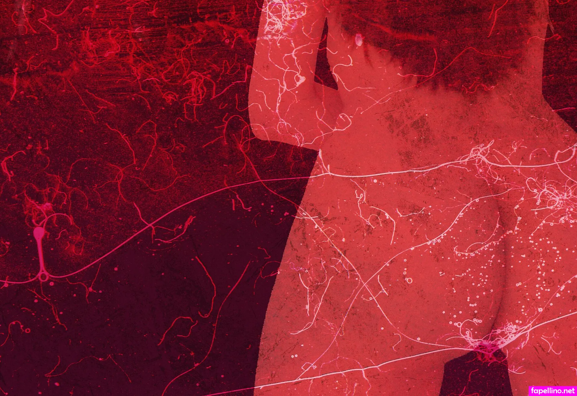 sisuuz Nude Leaked OnlyFans Photo #QUym9oqZT3