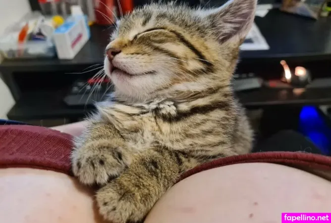 Skodes994free OnlyFans Thumbnail #BLfkHvtbau