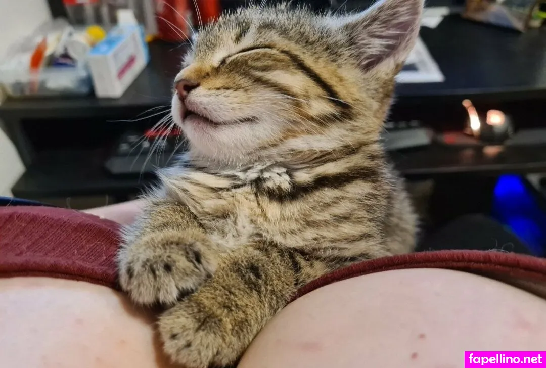 skodes994free Nude Leaked OnlyFans Photo #BLfkHvtbau