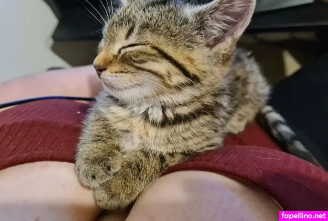 Skodes994free OnlyFans Thumbnail #nCsBawBiZ6