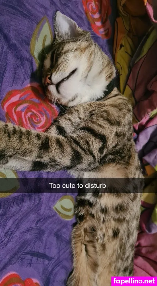 skodes994free Nude Leaked OnlyFans Photo #x5AC3Fq1yG