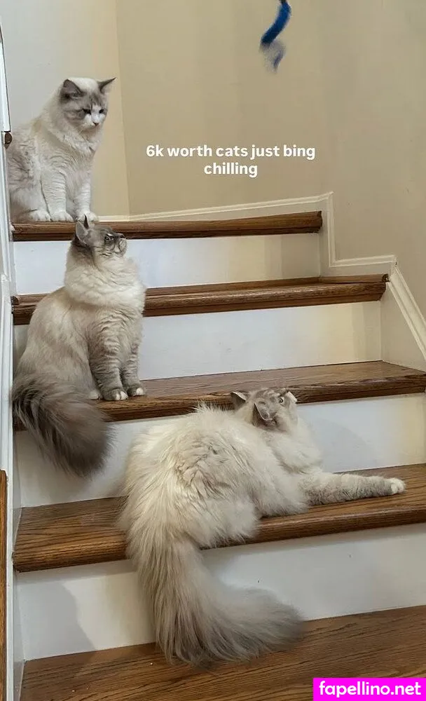 Skyim, skyrim.c Nude Leaked OnlyFans Photo #zPlZQtIYoh