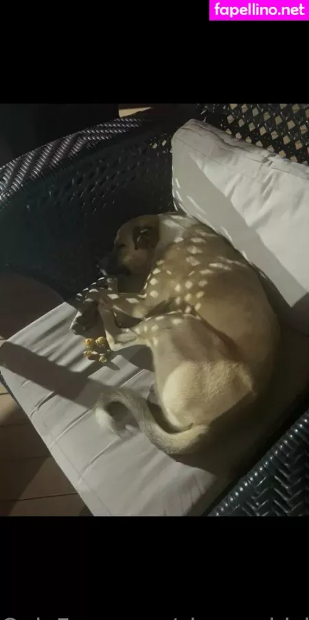 Sleepychick11 OnlyFans Thumbnail #ayK4HKIzNQ