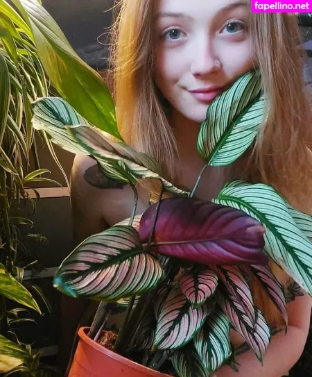 Sleepyvegan OnlyFans Thumbnail #jPWg7yPJPQ