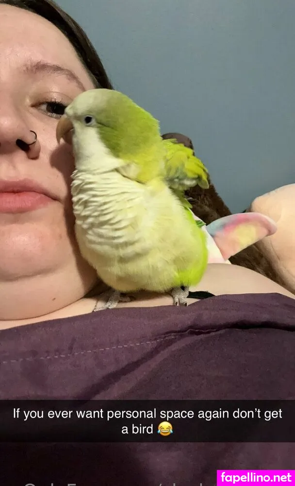 slyckerdoodle, snickerdoodletiff Nude Leaked OnlyFans Photo #cfyatZsQzQ