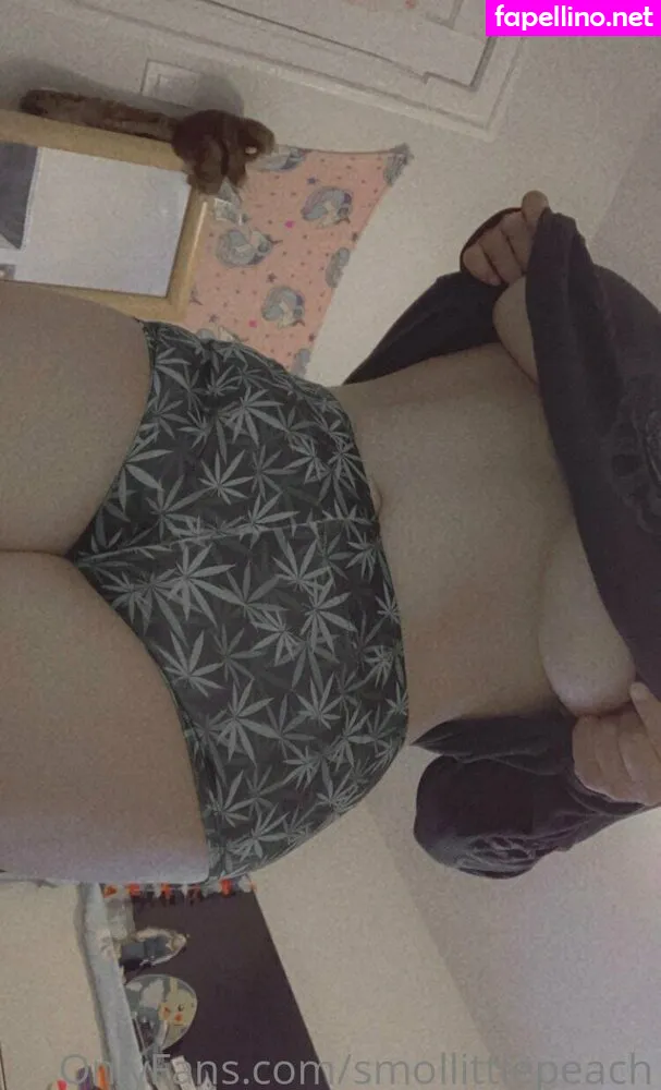sameolepeach, smollittlepeach Nude Leaked OnlyFans Photo #nUswCJvLym