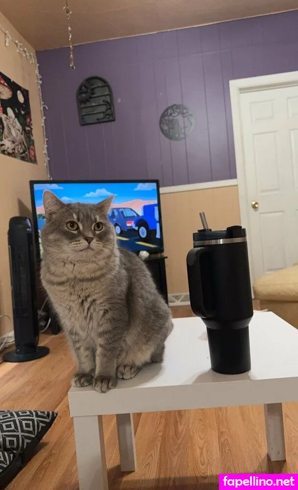 itssnixbitxh, snixfree Nude Leaked OnlyFans Photo #NA8EYKLQRa