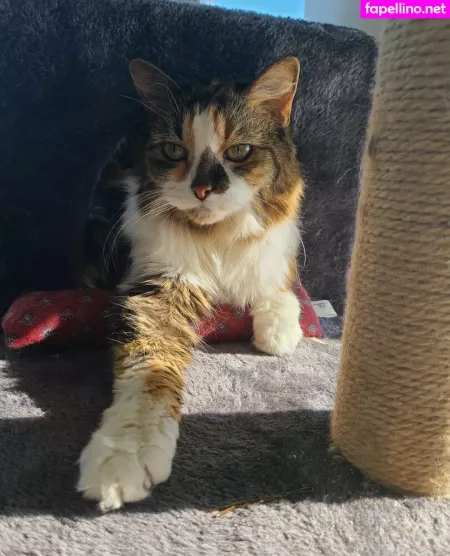 Snoot OnlyFans Thumbnail #dg9PS3rdR1