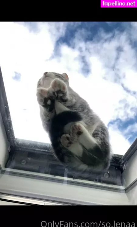 So Lenaa OnlyFans Thumbnail #fOzjNAMNpT