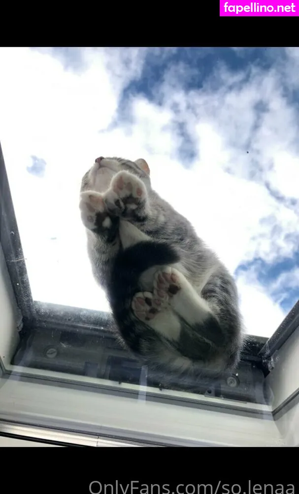 So__lena, so.lenaa Nude Leaked OnlyFans Photo #fOzjNAMNpT