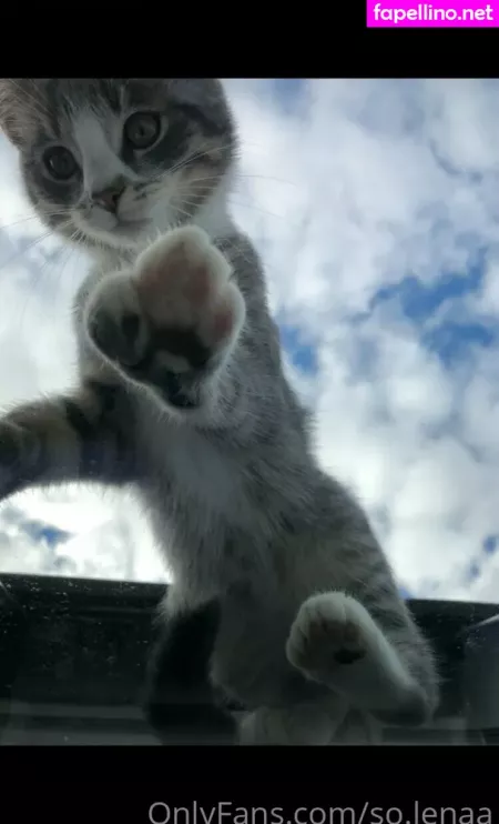 So Lenaa OnlyFans Thumbnail #q950xFNNoy