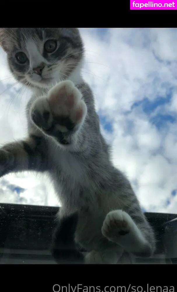 So__lena, so.lenaa Nude Leaked OnlyFans Photo #q950xFNNoy