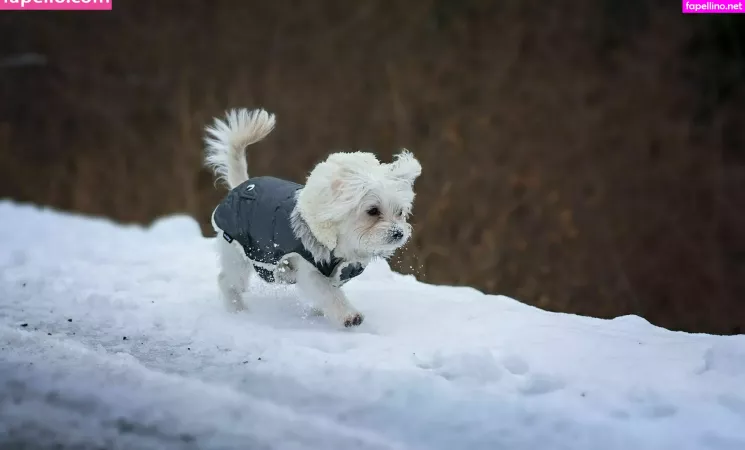 Sofa Ukr OnlyFans Thumbnail #whY1la2uuc