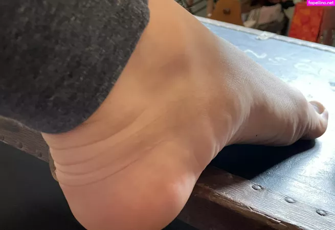 Softboyfeetx OnlyFans Thumbnail #BRVtJJY5WO