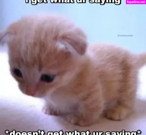 Softbunnyrae OnlyFans Thumbnail #W07je4Cr24