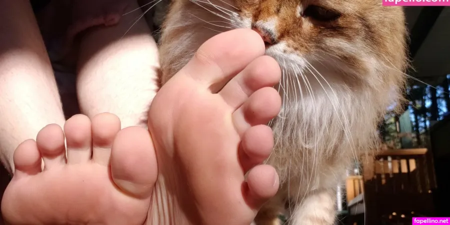 Softcorekittyx OnlyFans Thumbnail #ObgJBk2xOH