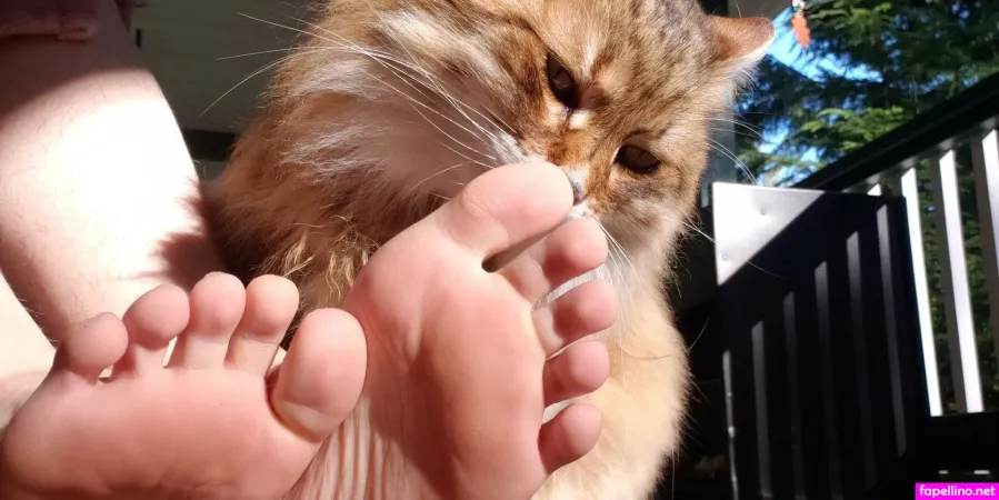 Softcorekittyx OnlyFans Thumbnail #e1xB09JTfh