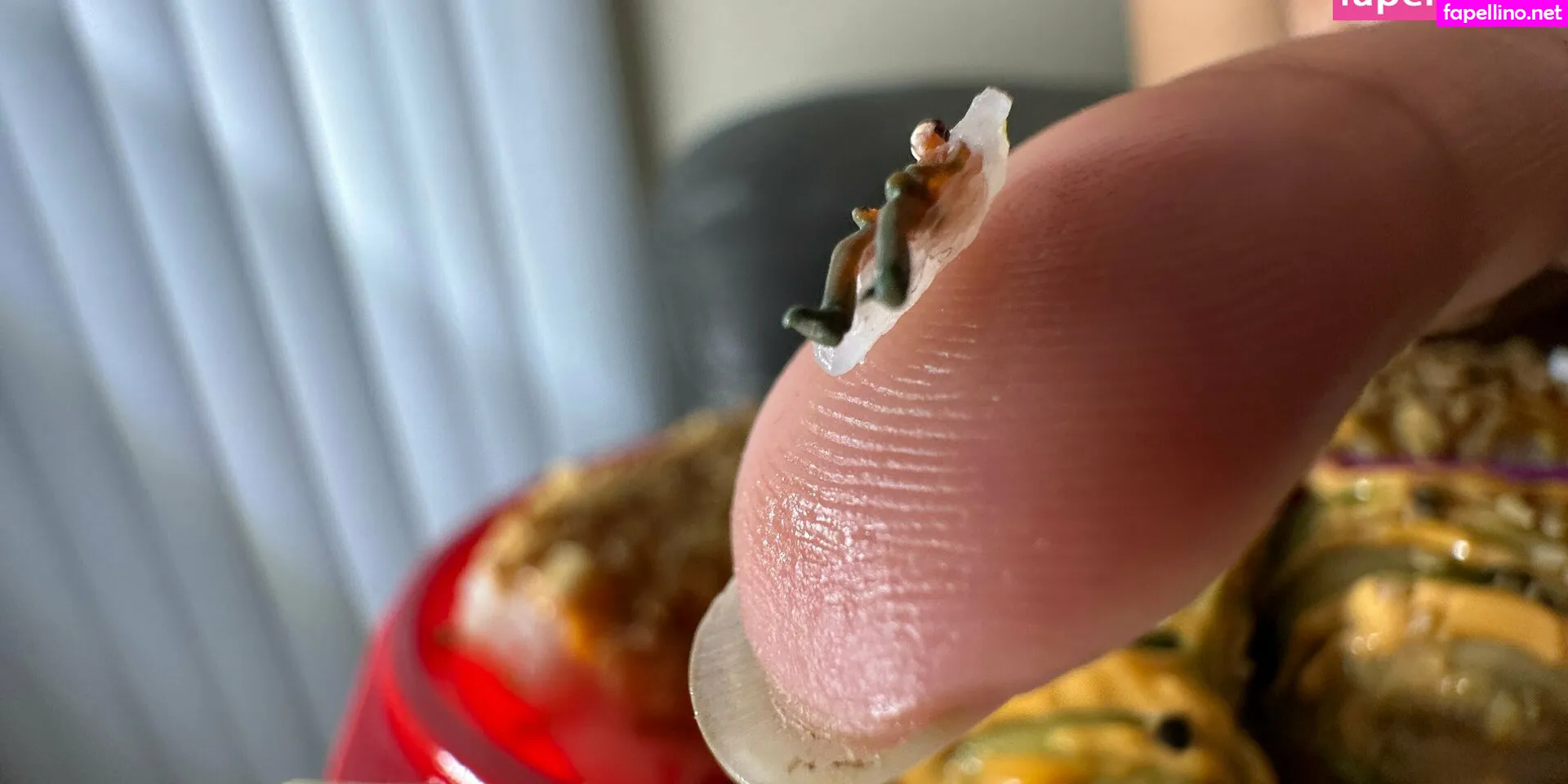 ciruletilla_alcoy, solecirilla Nude Leaked OnlyFans Photo #DYMoSfEC2i