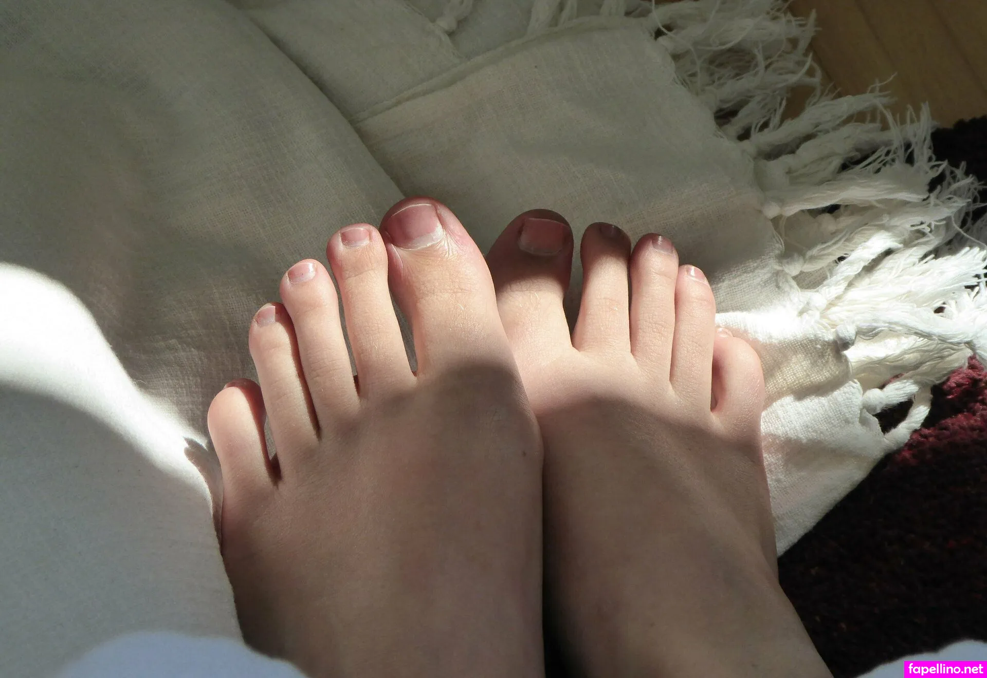 solefulaz, solefulnova Nude Leaked OnlyFans Photo #bnjEcdXgfX