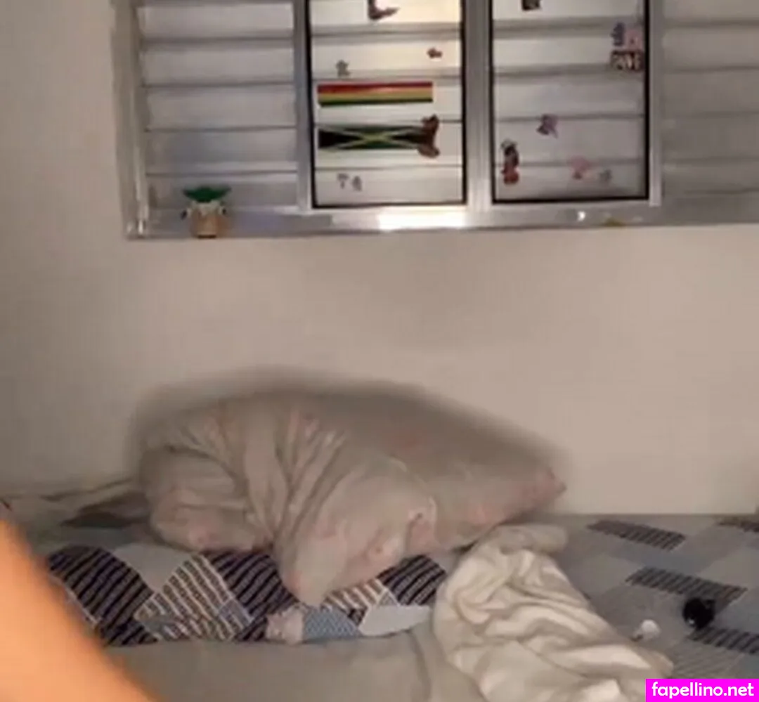 Soljje Jenycash Nude Leaked OnlyFans Photo #ycqa8mmEDZ