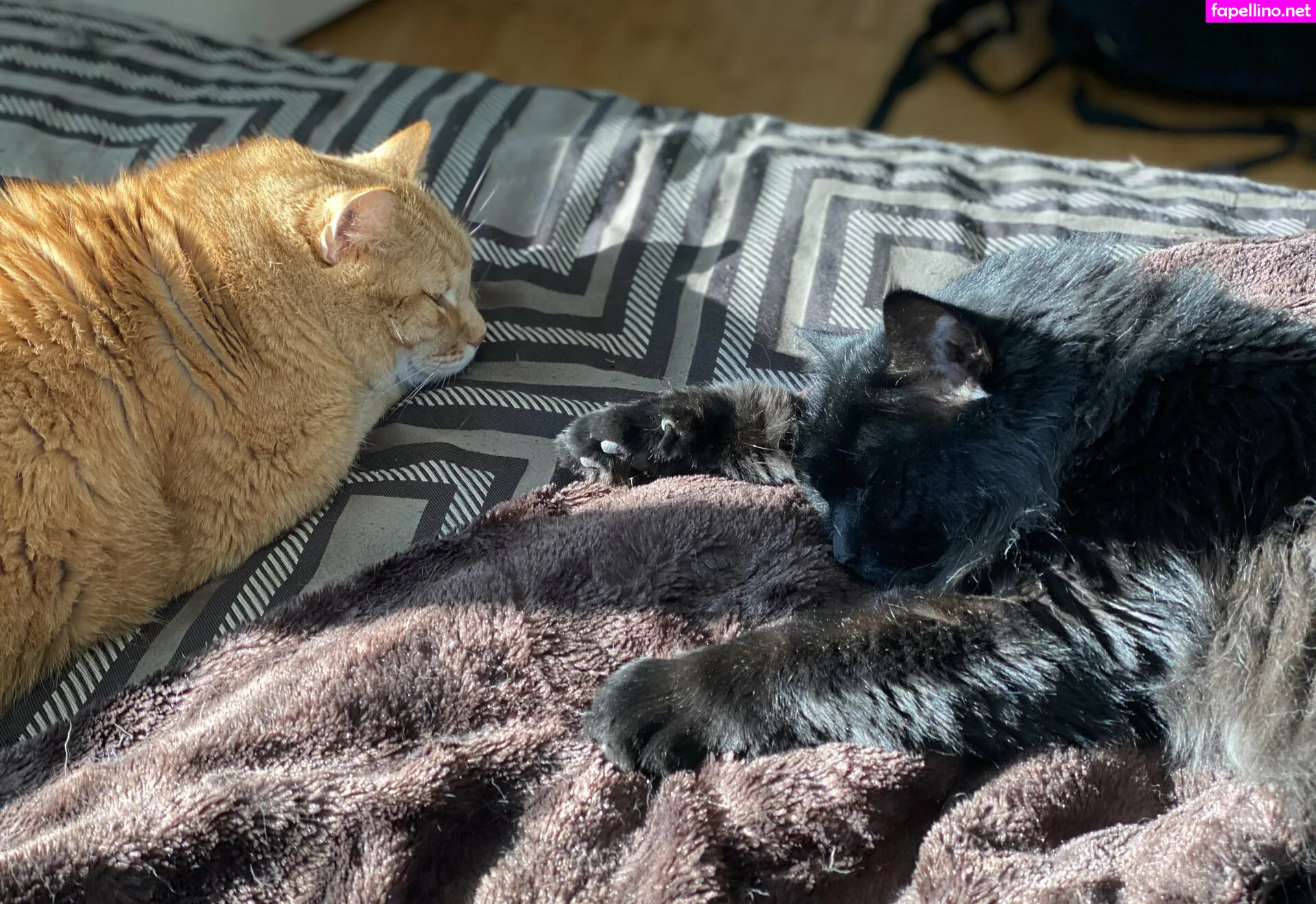 https:, somelittlecrumbs, spacegurl_9 Nude Leaked OnlyFans Photo #usGbc42Unu