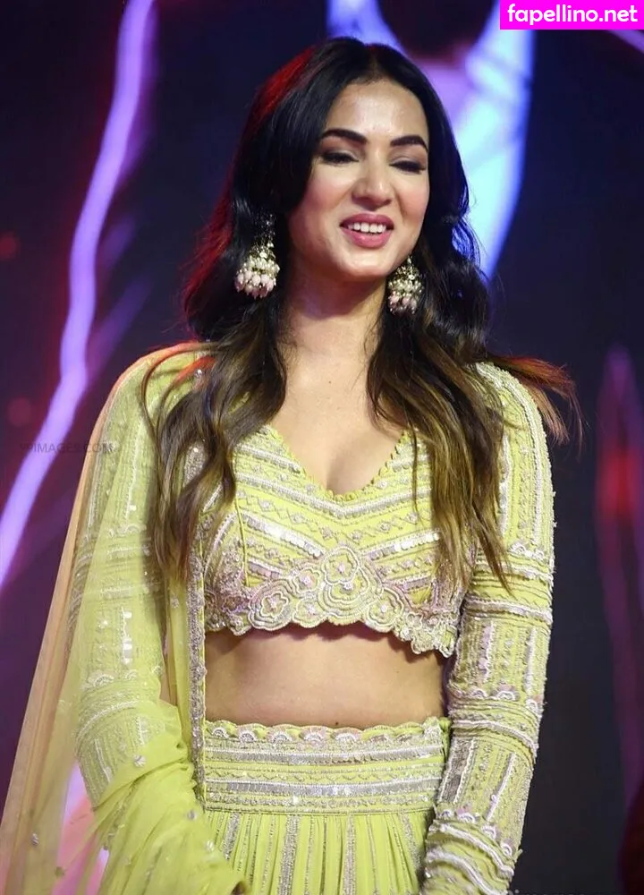 sonalchauhan Nude Leaked OnlyFans Photo #u7QtQ4a0fb