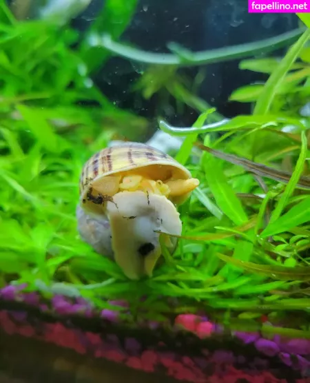 Sonjahaze OnlyFans Thumbnail #ETCXit31Bf