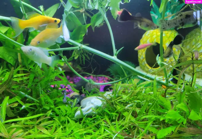 Sonjahaze OnlyFans Thumbnail #ExUx5AYTYS